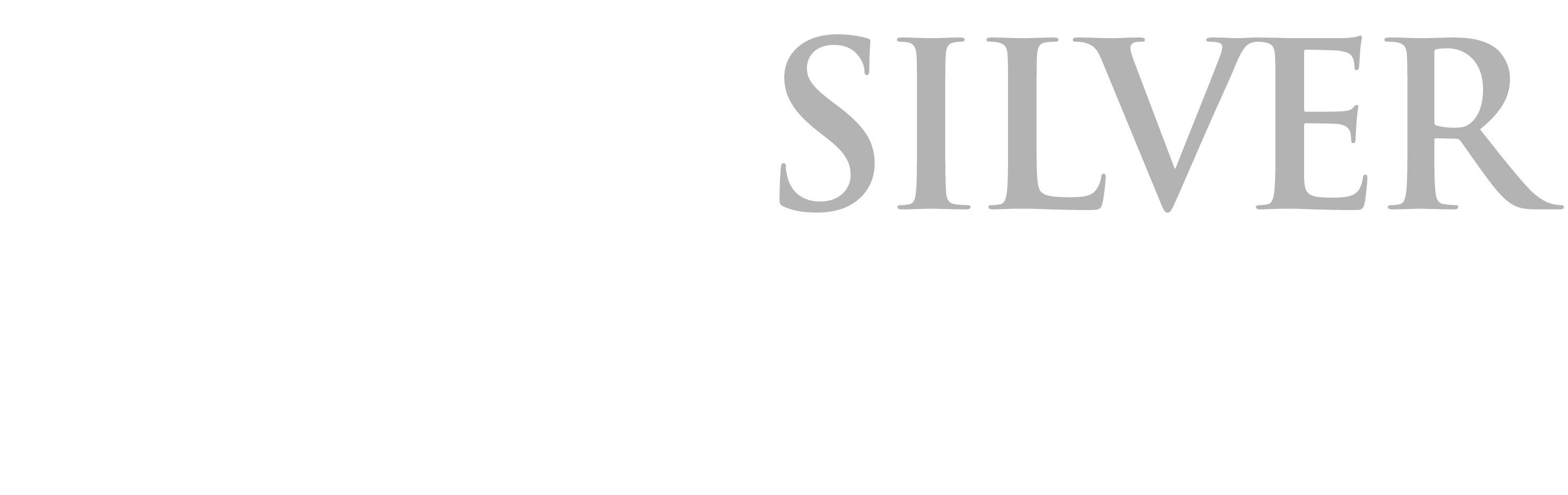Silver Springs Construction Logo